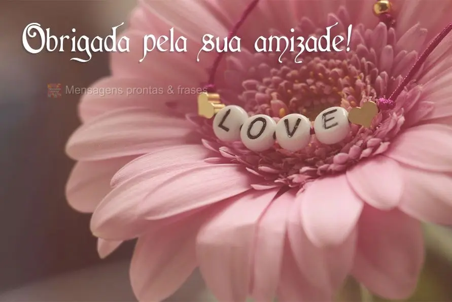 Obrigada pela sua amizade!