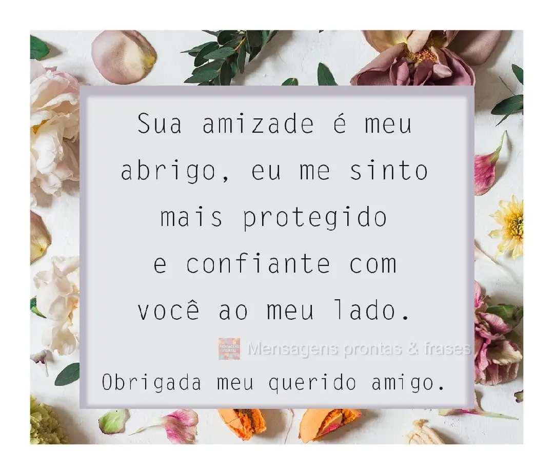 Sua amizade é o meu abrigo. Sinto-me mais protegido e confiante com você ao meu lado. Obrigado meu querido amigo!