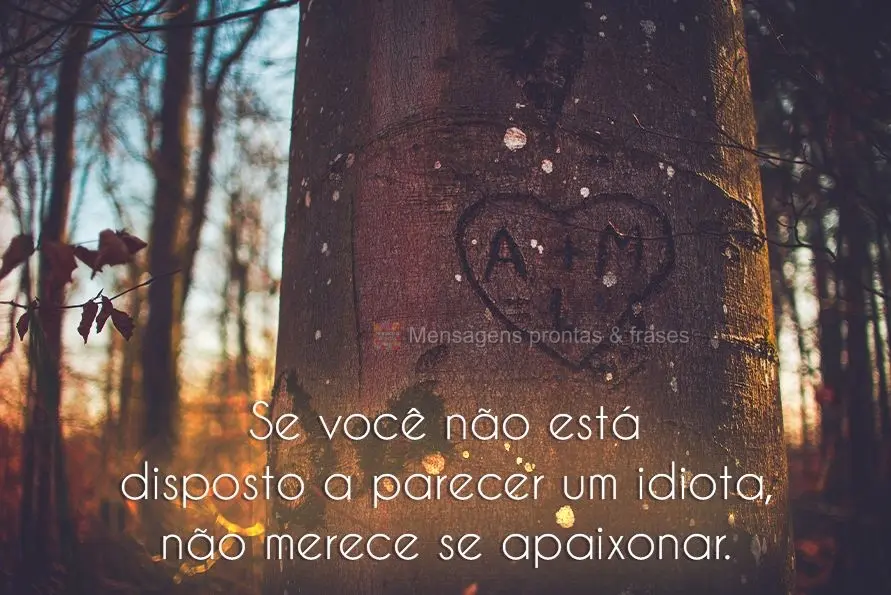 Se você não está disposto a parecer um idiota, não merece se apaixonar.