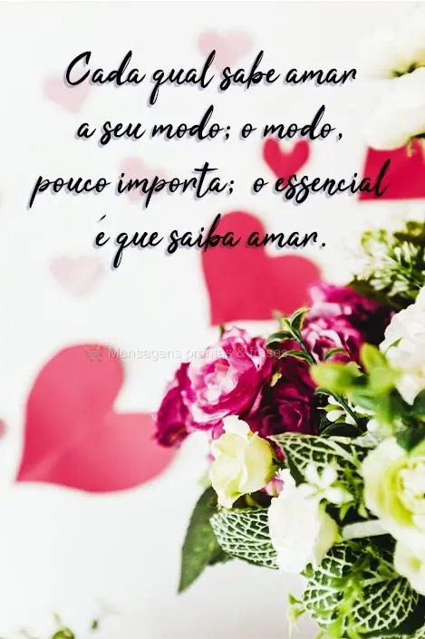 Cada qual sabe amar a seu modo; o modo, pouco importa;  o essencial é que saiba amar. Machado de Assis