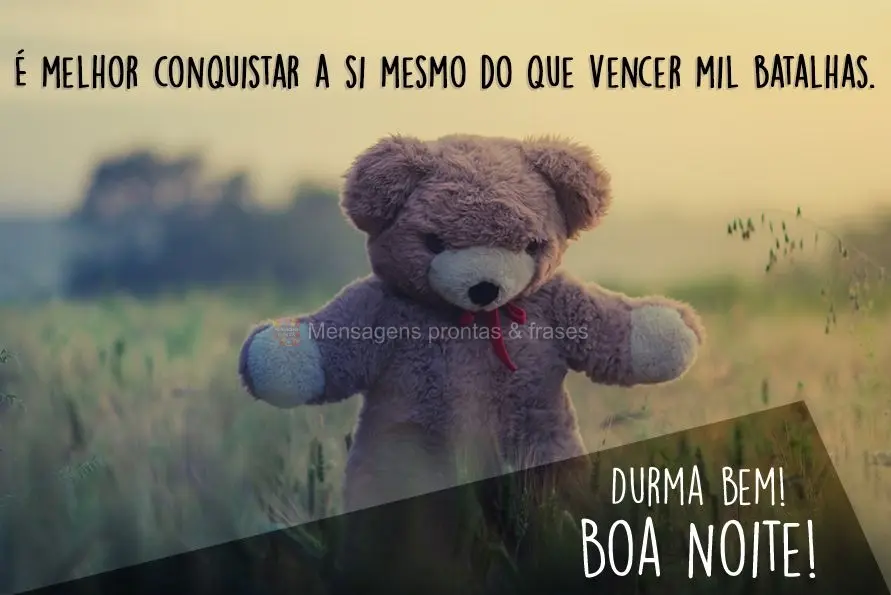 Лучше побороть самого себя, чем выиграть тысячу битв. Спокойной ночи! Сладких снов!...