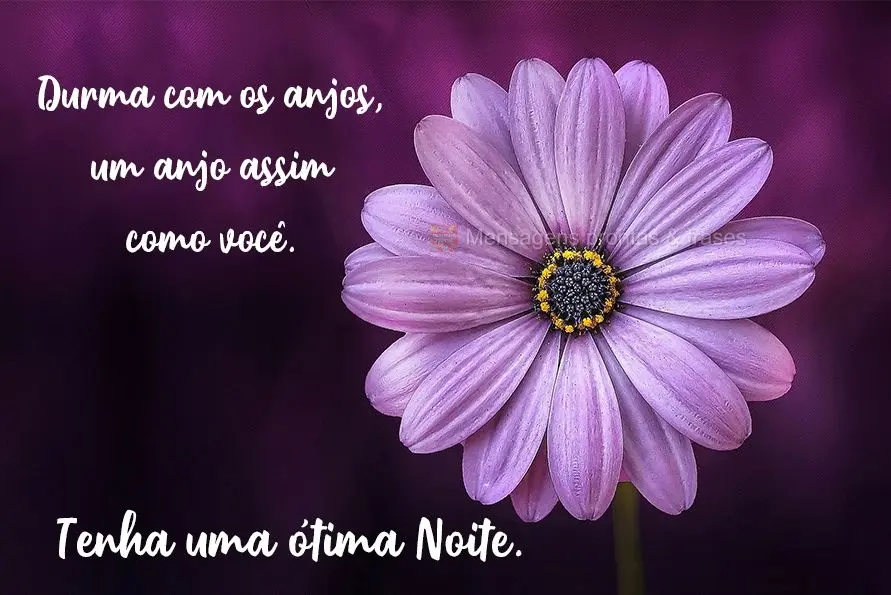 Durma com os anjos, um anjo assim como você! Tenha uma ótima Noite