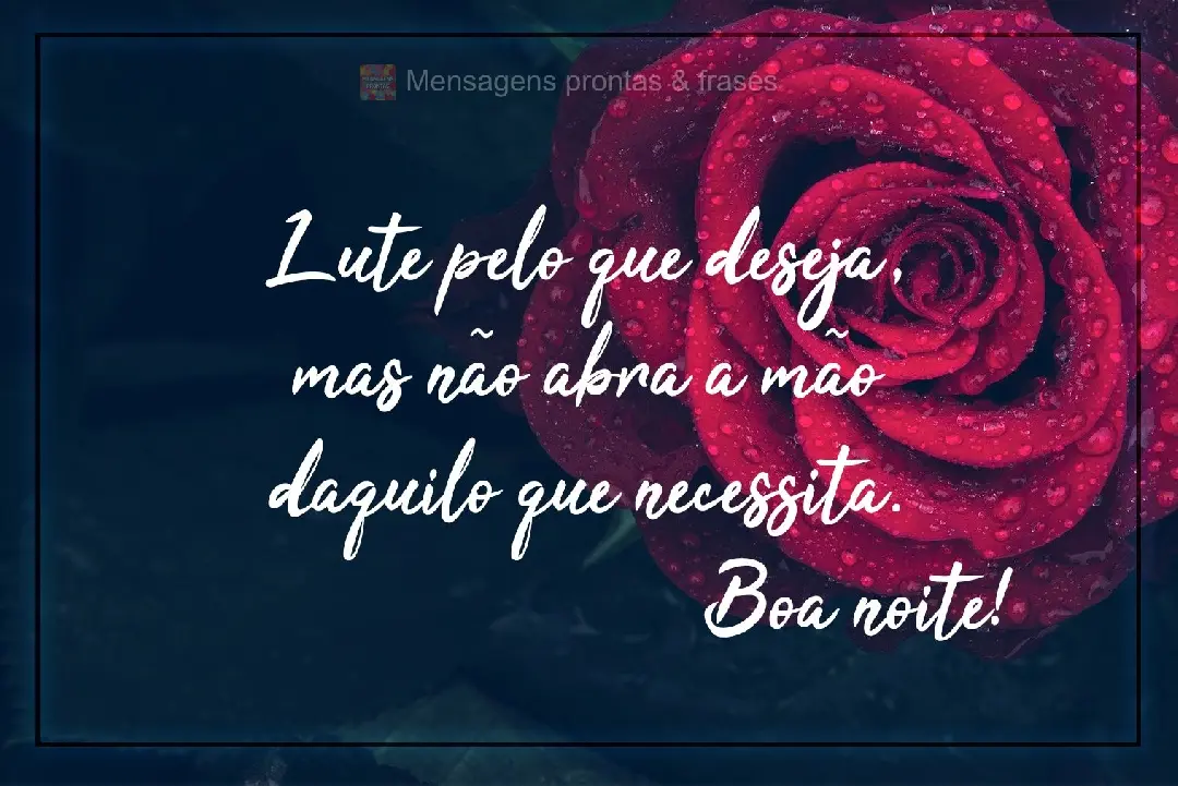 Lute pelo que deseja, mas não abra a mão daquilo que necessita. Boa Noite!