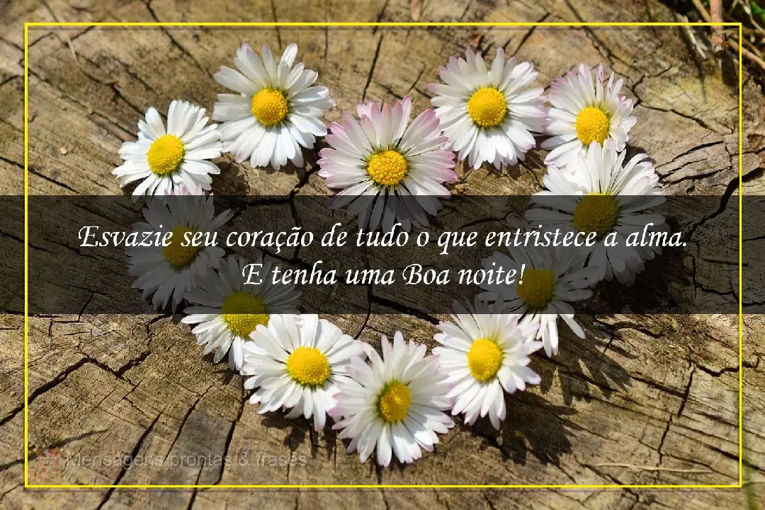 Освободите свое сердце от всего, что печалит душу. Спокойной ночи!