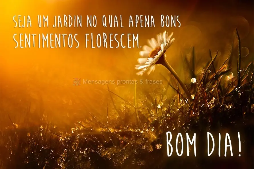 Seja um jardim no qual apenas bons sentimentos florescem. Bom dia!