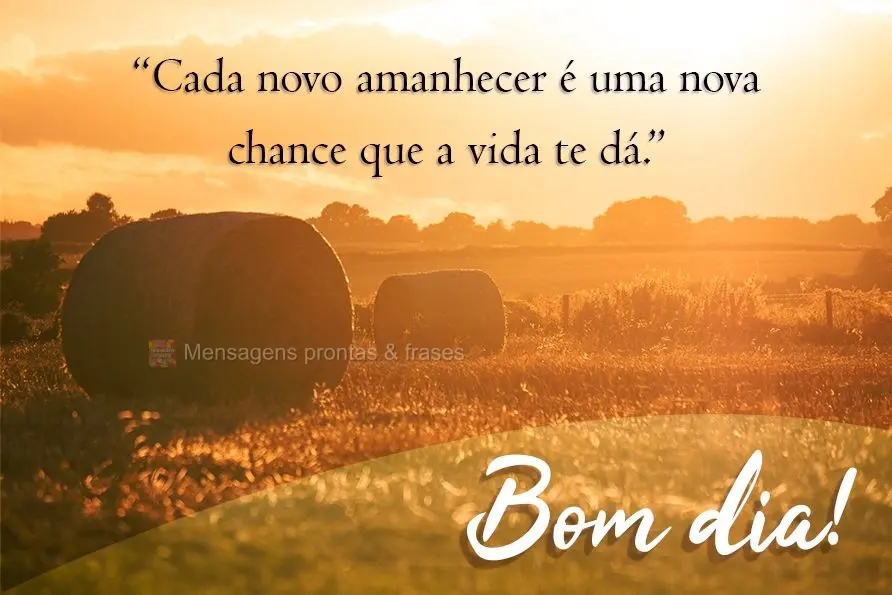 Cada amanhecer é uma nova chance que a vida te dá. 