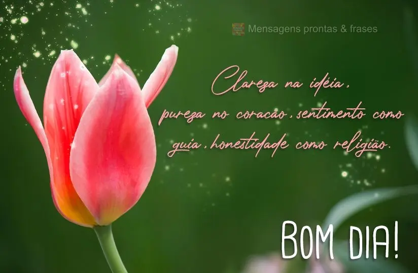 Clareza na ideia, pureza no coração, sentimento como guia, honestidade como religião. Bom dia!