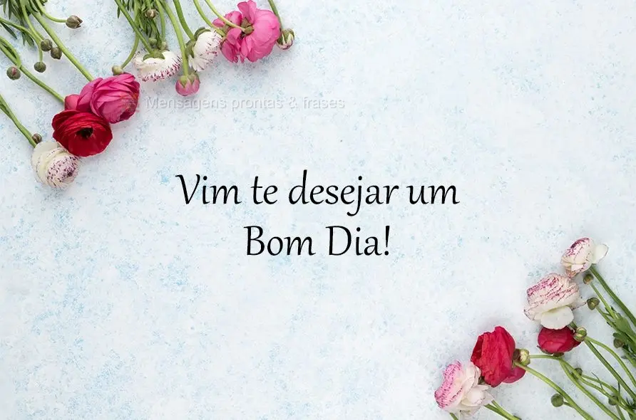 Vim te desejar um Bom Dia!