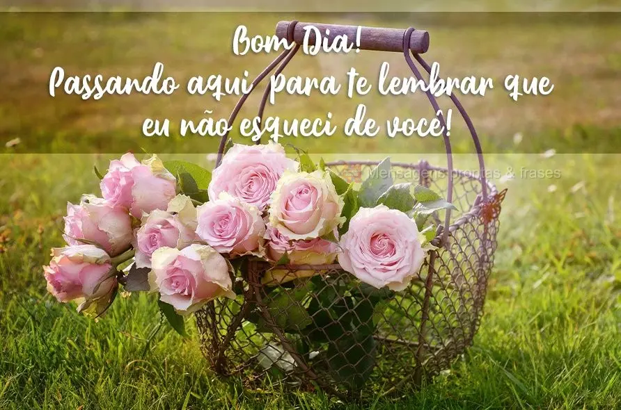 Passando aqui  para te lembrar que eu não esqueci de você! Bom Dia!