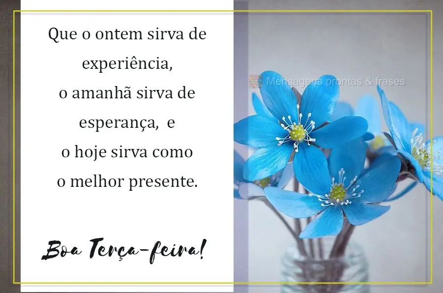 Que o ontem sirva de experiência, o amanhã sirva de esperança,  e o hoje sirva como o melhor presente. Boa Terça-feira!