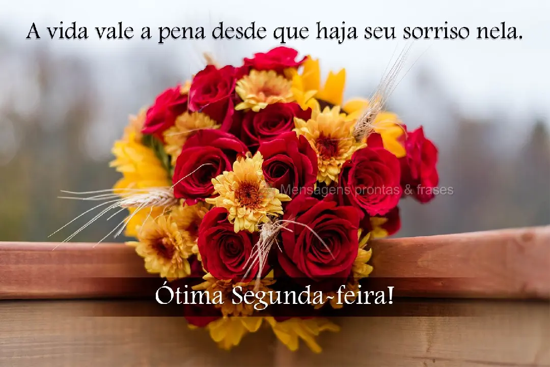 A vida vale a pena desde que haja seu sorriso nela. Ótima Segunda-feira!