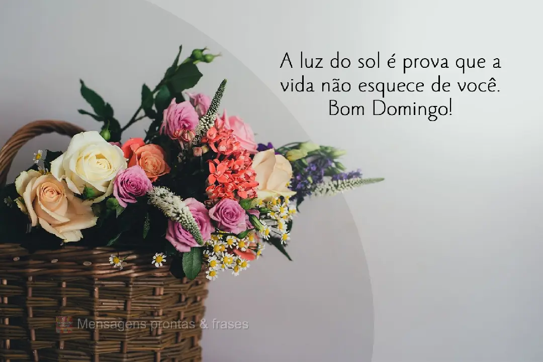 A luz do sol é prova de que a vida não esquece de você.  Bom Domingo!