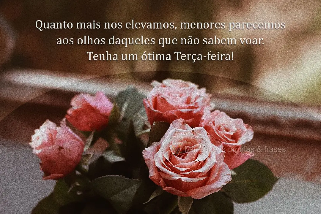 Quanto mais nos elevamos, menores parecemos aos olhos daqueles que não sabem voar. Tenha um ótima Terça-feira!