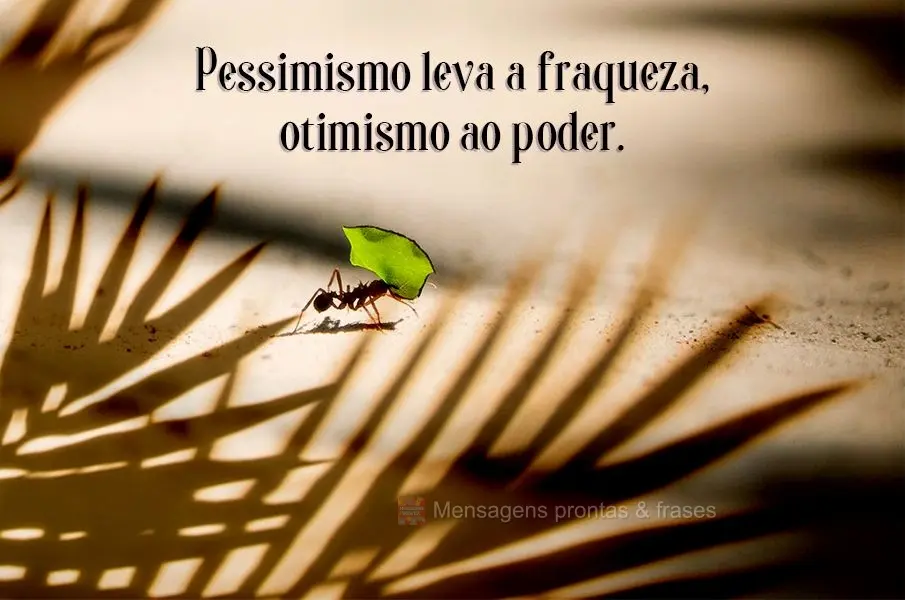 Pessimismo leva à fraqueza, otimismo ao poder.