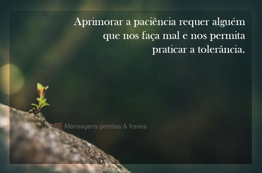 Люди, что причиняют нам вред, на самом деле учат нас терпению.