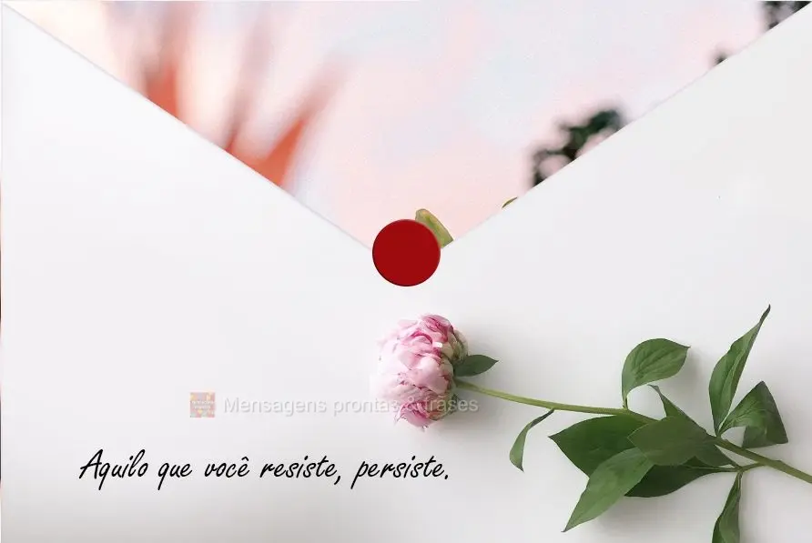 Aquilo que você resiste, persiste!