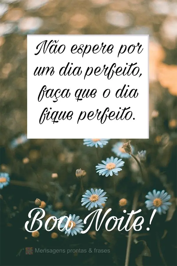 Não espere por um dia perfeito, faça com que o dia fique perfeito. Boa Noite!