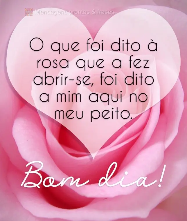 O que foi dito à rosa que a fez abrir-se, foi dito a mim aqui no meu peito.  Bom dia!