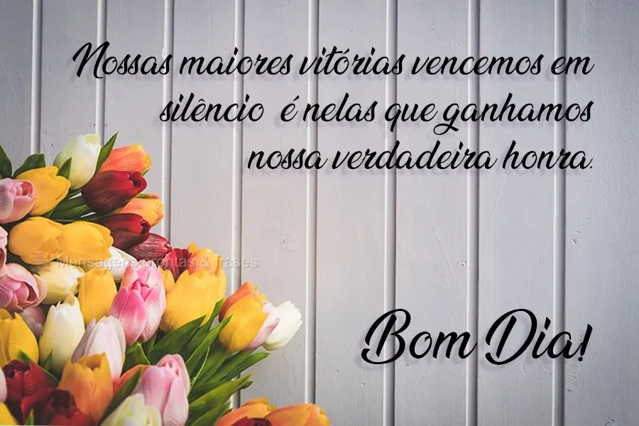 Nossas maiores vitórias vencemos em silêncio, é nelas que ganhamos nossa verdadeira honra.  Bom Dia!