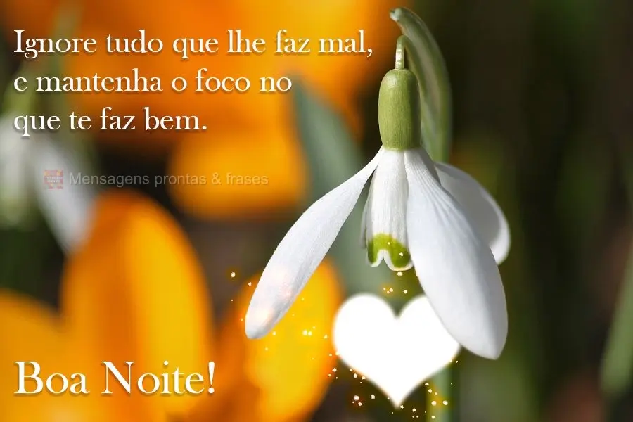 Ignore tudo que te faz mal e mantenha o foco no que te faz bem. Boa Noite!