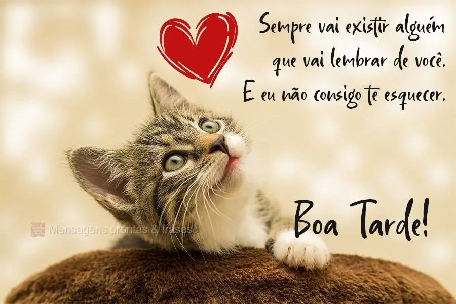 Sempre vai existir alguém que vai lembrar de você... E eu não consigo te esquecer!  Boa Tarde!
