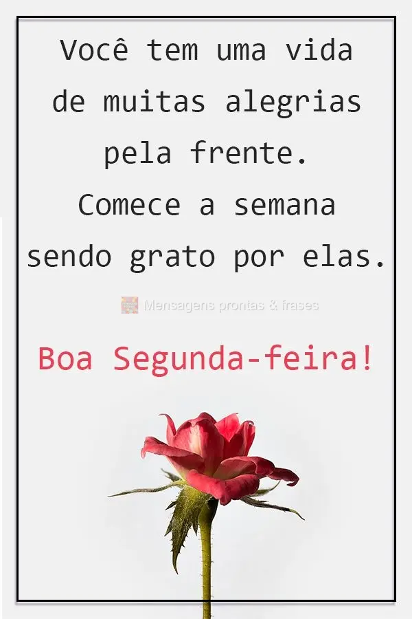 Você tem uma vida de muitas alegrias pela frente. Comece a semana sendo grato por ela.  Boa Segunda-feira!