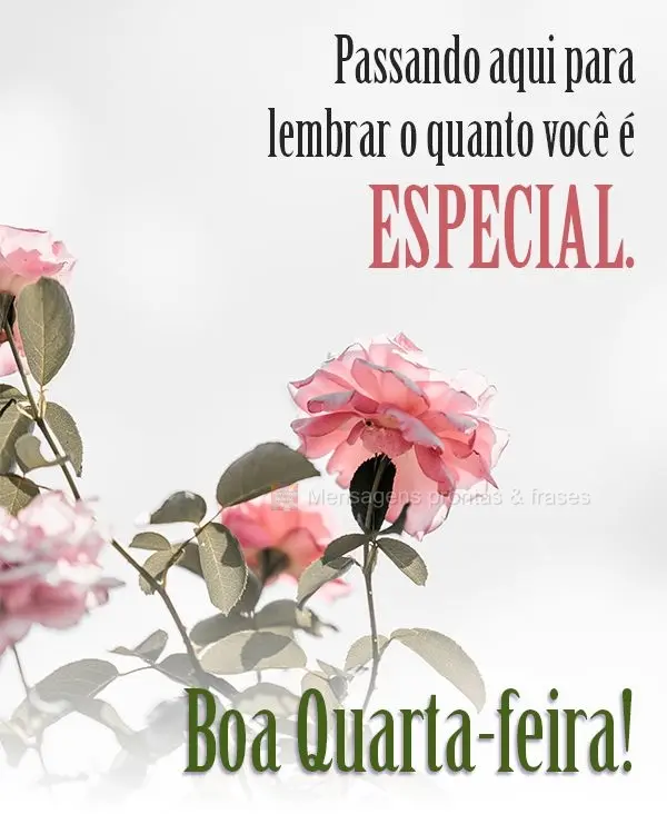 Passando aqui para lembrar o quanto você é especial.  Boa Quarta-feira!