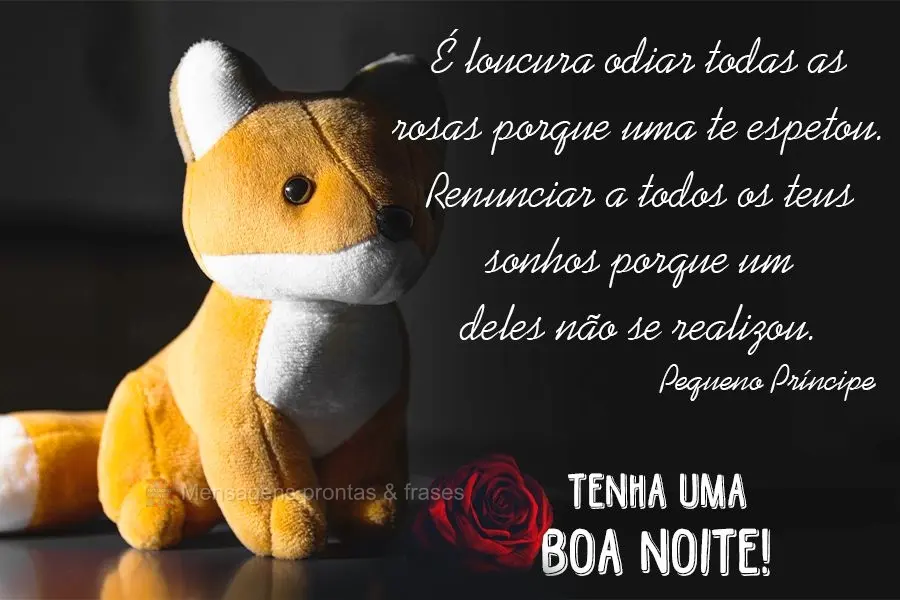 É loucura odiar todas as rosas porque uma te espetou. Renunciar a todos os teus sonhos porque um deles não se realizou. Pequeno Príncipe