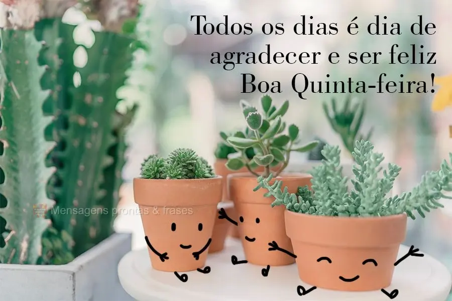 Todos os dias é dia de agradecer e ser feliz.  Boa Quinta-feira!
