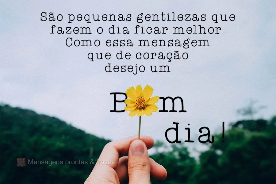 São pequenas gentilezas que fazem o dia ficar melhor... Como essa mensagem que envio de coração para desejar um  bom dia!