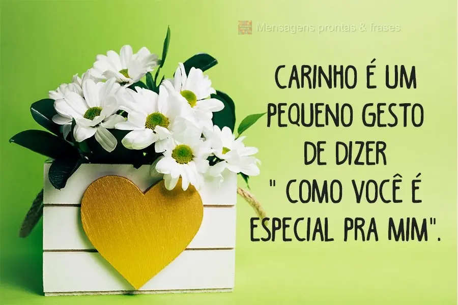 Carinho é um pequeno gesto de dizer como você é especial pra mim.
