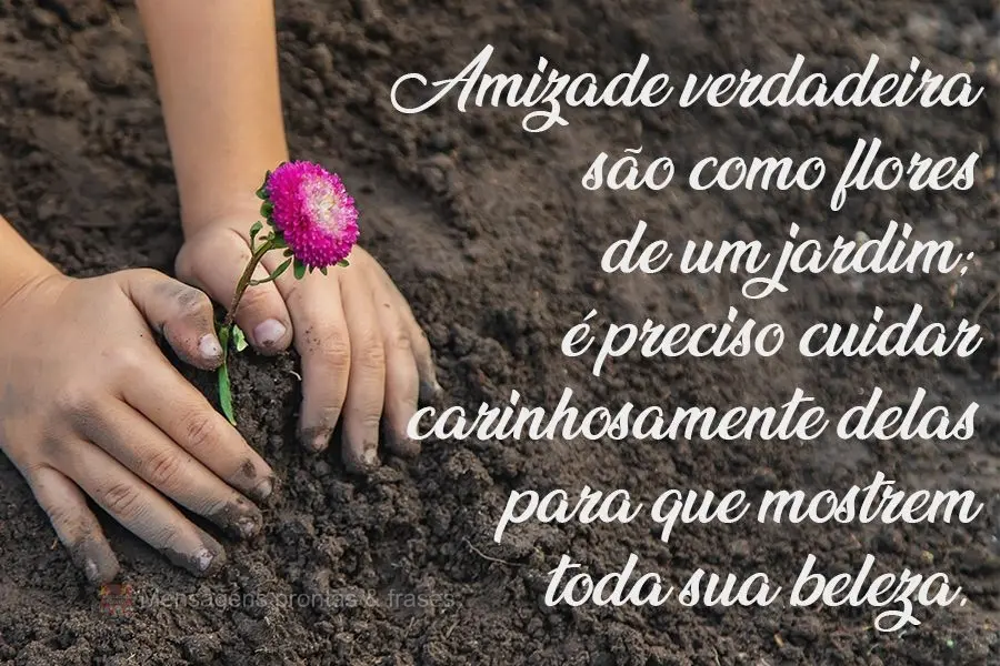 Amizade verdadeira é como as flores de um jardim; é preciso cuidar carinhosamente delas para que mostrem toda sua beleza.
