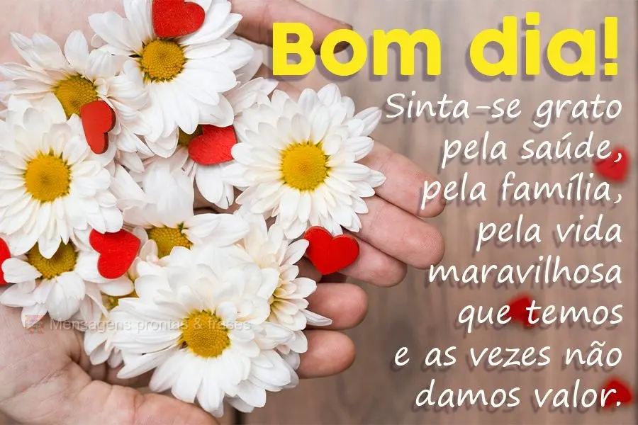 Sinta-se grato pela saúde, pela família, pela vida maravilhosa que temos e as vezes não damos valor.
 Bom dia!