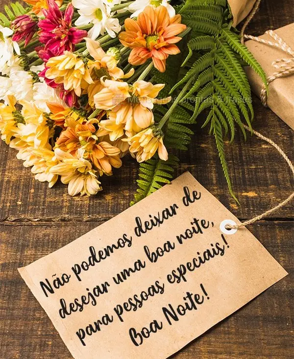 Não podemos deixar de desejar uma boa noite, para pessoas especiais! 
 Boa Noite!