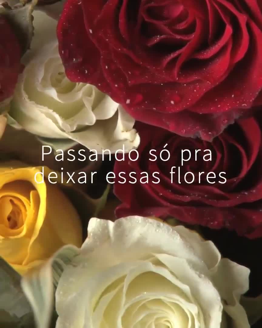 Passando só pra 
deixar essas flores
E dizer que é muito
especial para mim
Beijos!!