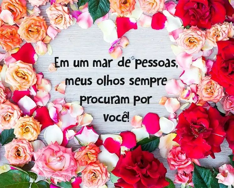 Em um mar de pessoas, meus olhos sempre procuram por você!
