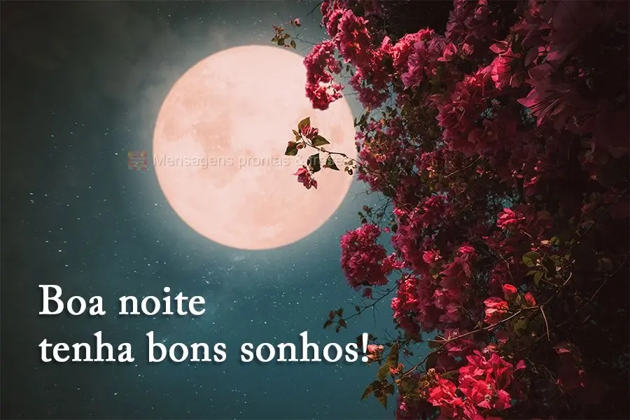 Boa noite tenha bons sonhos!
