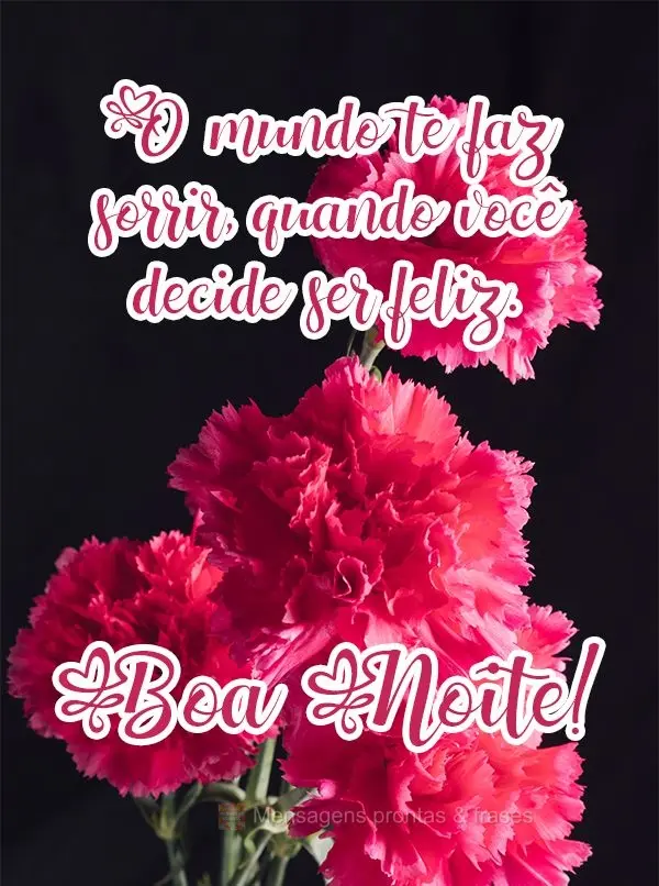 O mundo te faz sorrir, quando você decide ser feliz.
  Boa Noite!