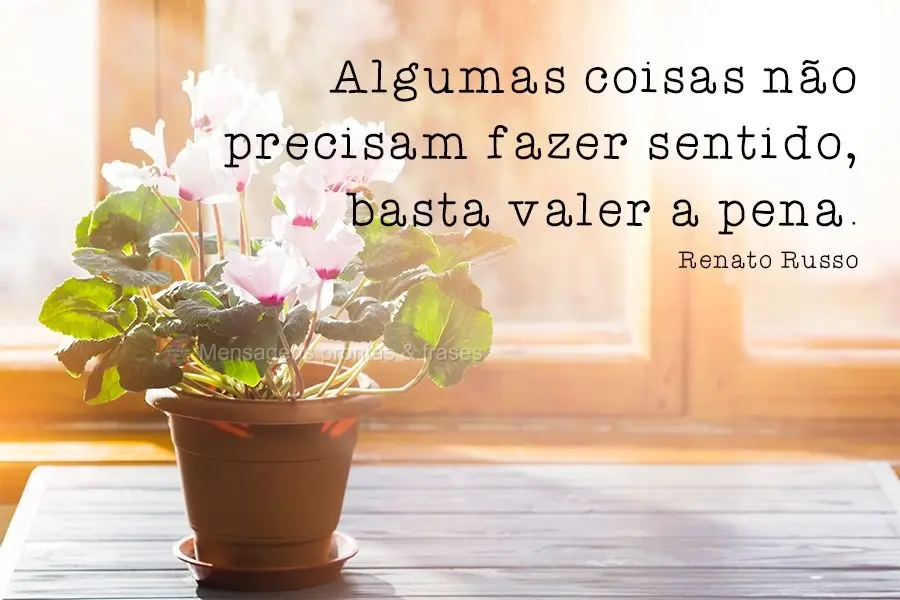 Algumas coisas não precisam fazer sentido, basta valer a pena. 
 Renato Russo