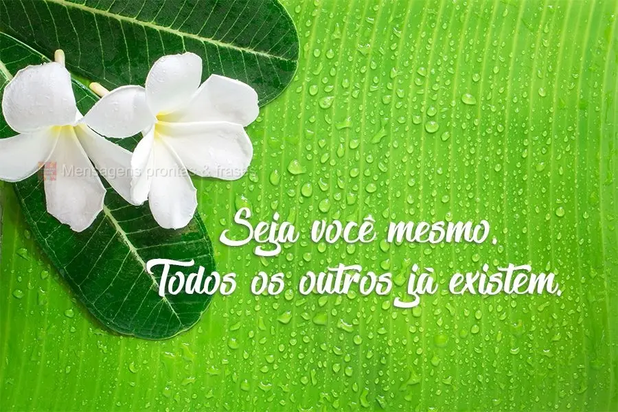 Seja você mesmo. Todos os outros já existem.
