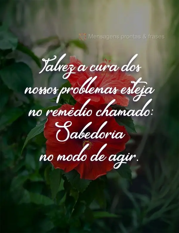 Talvez a cura dos nossos problemas esteja no remédio chamado: Sabedoria no modo de agir.
