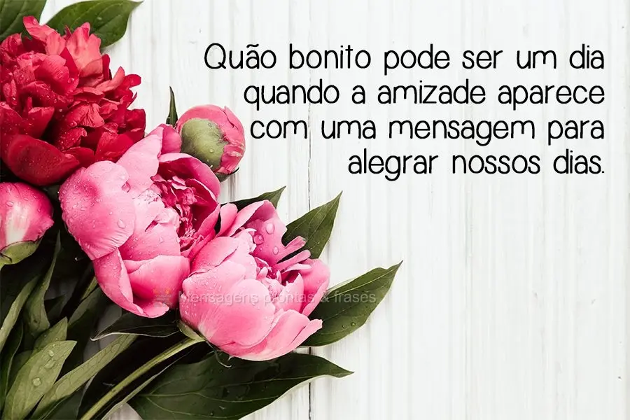 Quão bonito pode ser um dia quando a amizade aparece com uma mensagem para alegrar nossos dias.
