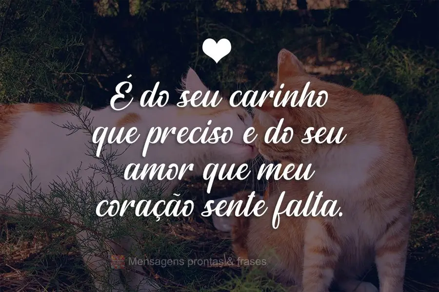É do seu carinho que preciso e do seu amor que meu coração sente falta. 
