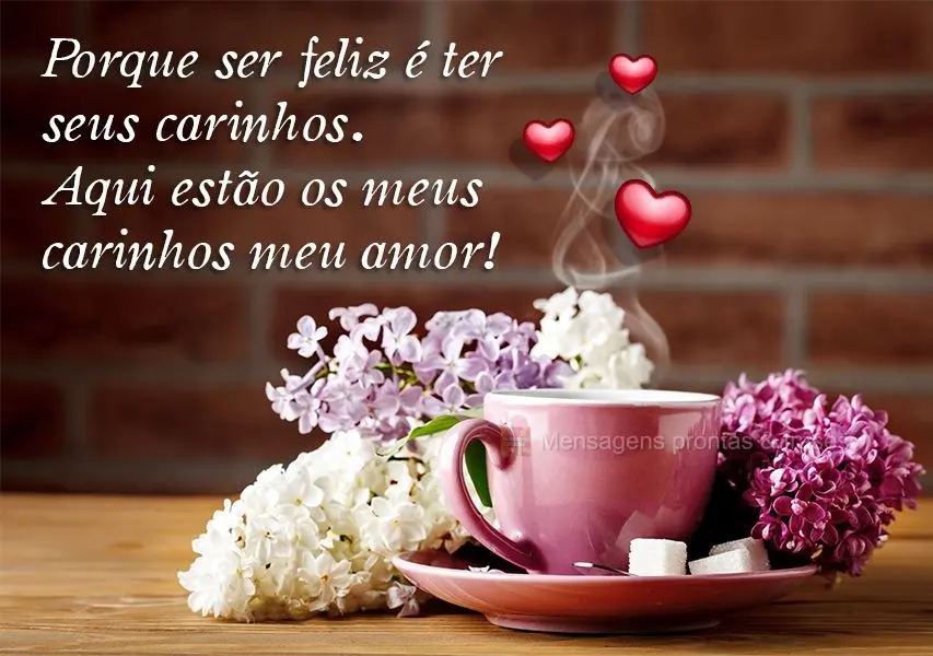Porque ser feliz é ter seus carinhos! Aqui estão os meus carinhos, meu amor!
