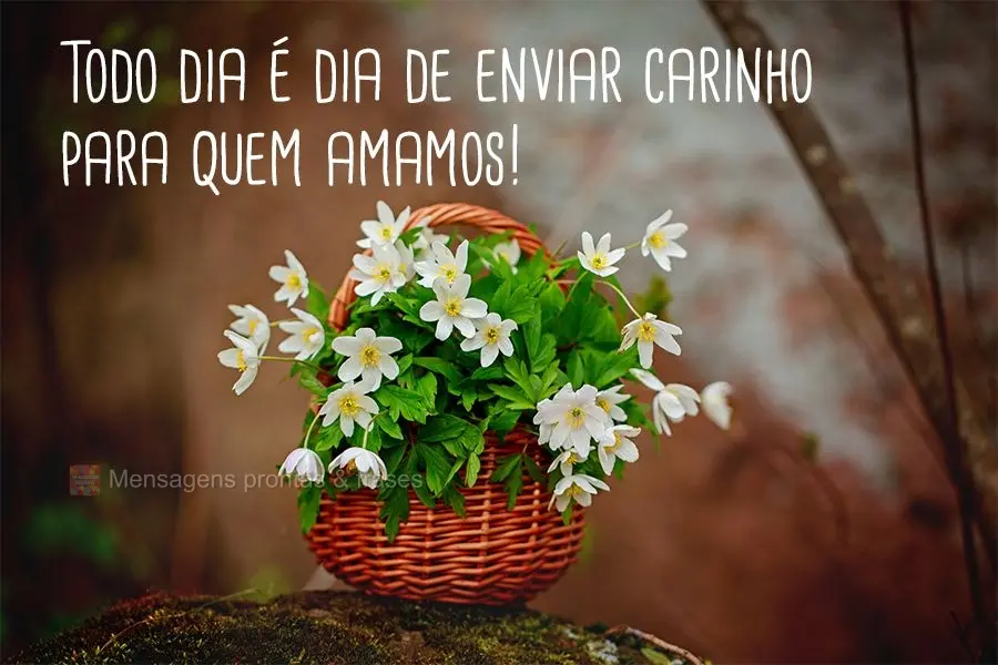 Todo dia é dia de enviar carinho para quem amamos!
