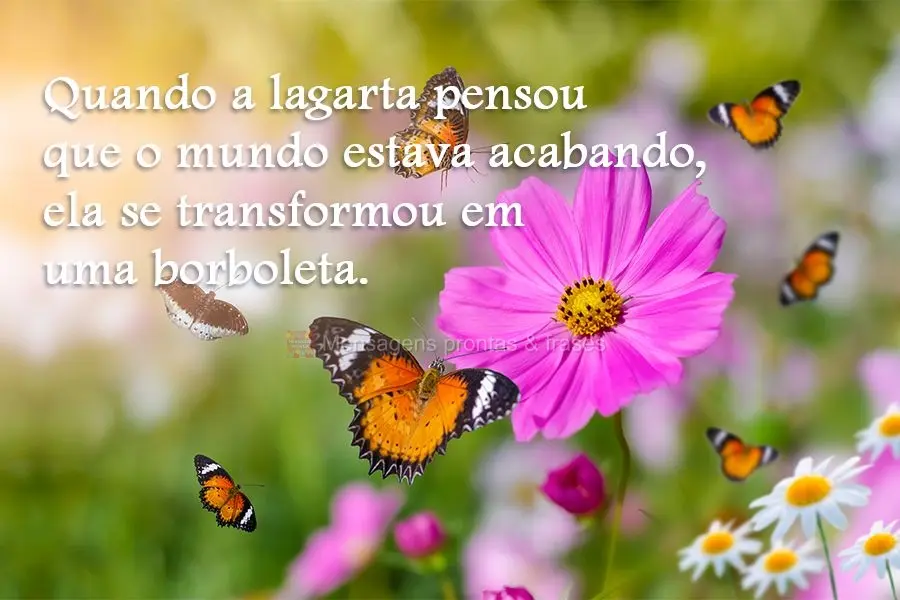 Quando a lagarta pensou que o mundo estava acabando, ela se transformou em uma borboleta.
