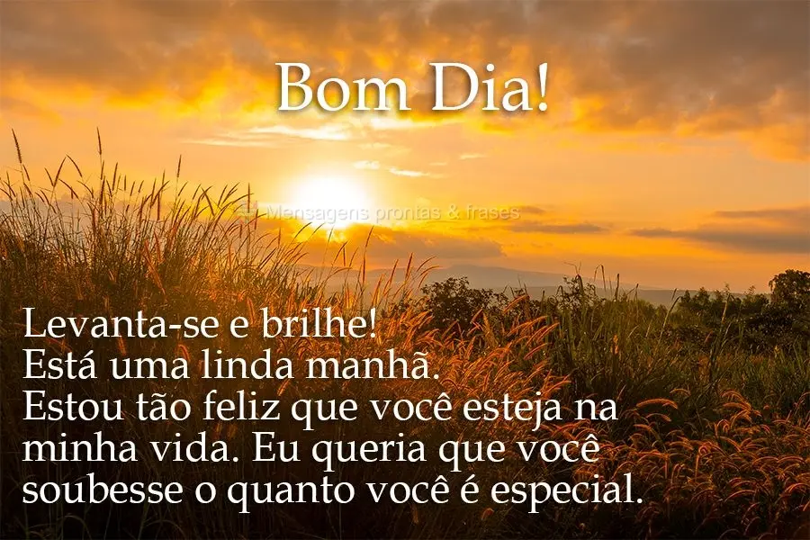 Levanta-se e brilhe! Está uma linda manhã. Estou tão feliz que você esteja na minha vida. Eu queria que você soubesse o quanto você é especial. 
...