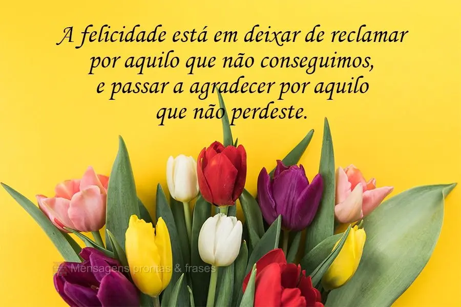 A felicidade está em deixar de reclamar por aquilo que não conseguimos, e passar a agradecer por aquilo que não perdemos.
