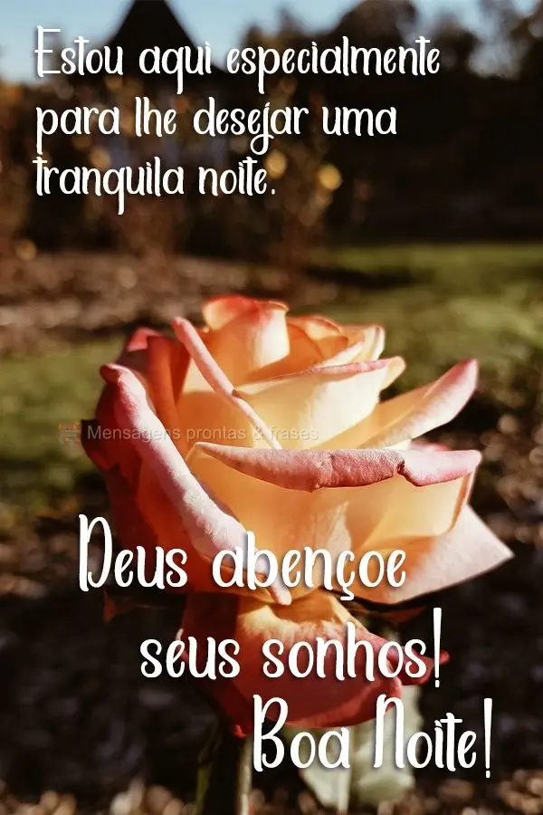 Estou aqui especialmente para lhe desejar uma tranquila noite. Deus abençoe seus sonhos! 
 Boa Noite!