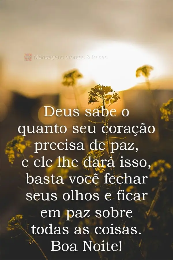 Deus sabe o quanto seu coração precisa de paz, e ele lhe dará isso, basta você fechar seus olhos e ficar em paz sobre todas as coisas. 
 Boa Noite!...